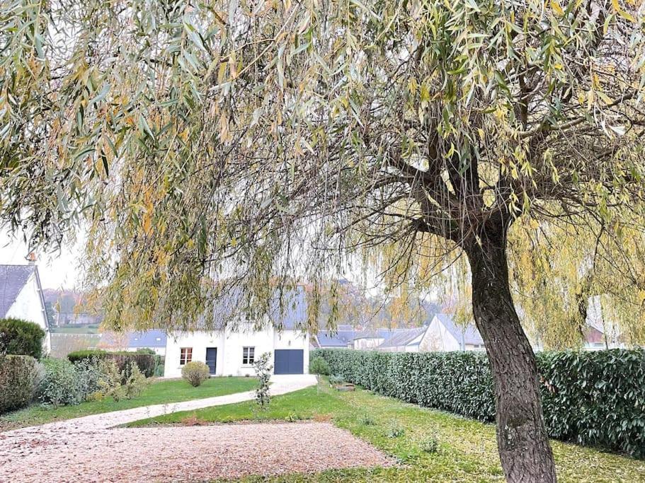 Havre De Paix Spa Proche Amboise & Chateaux De La Loire Noizay Exterior foto